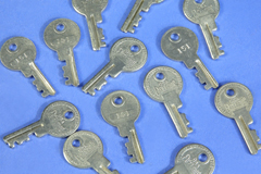 thum excelsior key 151, image 2