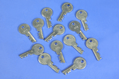 thum excelsior key 151, image 1